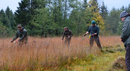 Forstschüler schwingen Sense im Moor