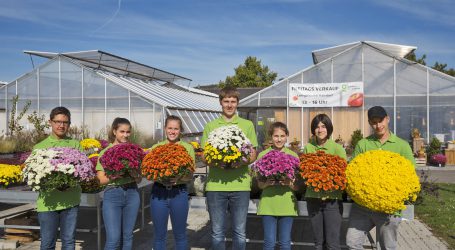 Gartenbauschule Langenlois öffnet ihre Türen