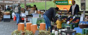 Bio-Bauernmarkt am Grottenhofer Adventmärchen