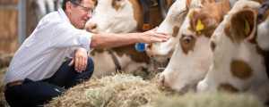 LK Kärnten warnt vor Tierärztemangel