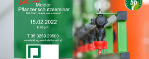 Molder PSM-Seminar online im Februar