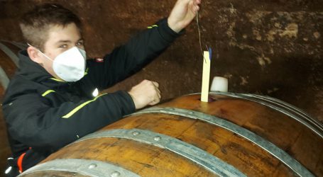 Praktischer Unterricht im Weinkeller