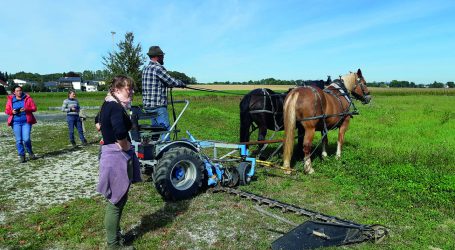 Geräte und Technik für den Ackergaul