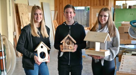 Flügelfreind mischen Markt auf