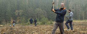 Waldsetzen.jetzt zieht Bilanz