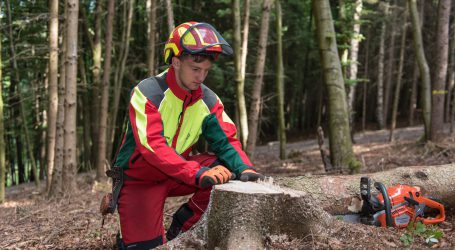Bundesforste auf Lehrlingssuche