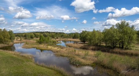 EU-Agrarministerrat debattiert Karbonsenken