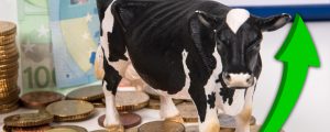 SalzburgMilch fettet Milchpreis auf