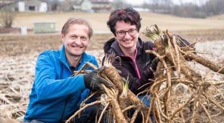 Steirische Bauernhöfe des Jahres gewählt