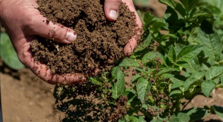 Webinare zur Humusbilanzierung
