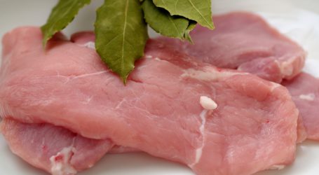 Stammler verortet Kennzeichnungsbremse bei ÖVP-Ministerin