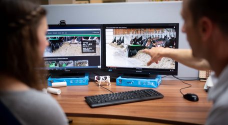 Webinar zum sensorbasierten Monitoring von Milchvieh