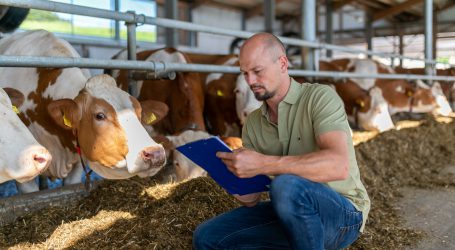 UBV fordert Teuerungsausgleich