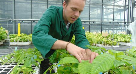 Nestlé intensiviert eigene Agrarforschung