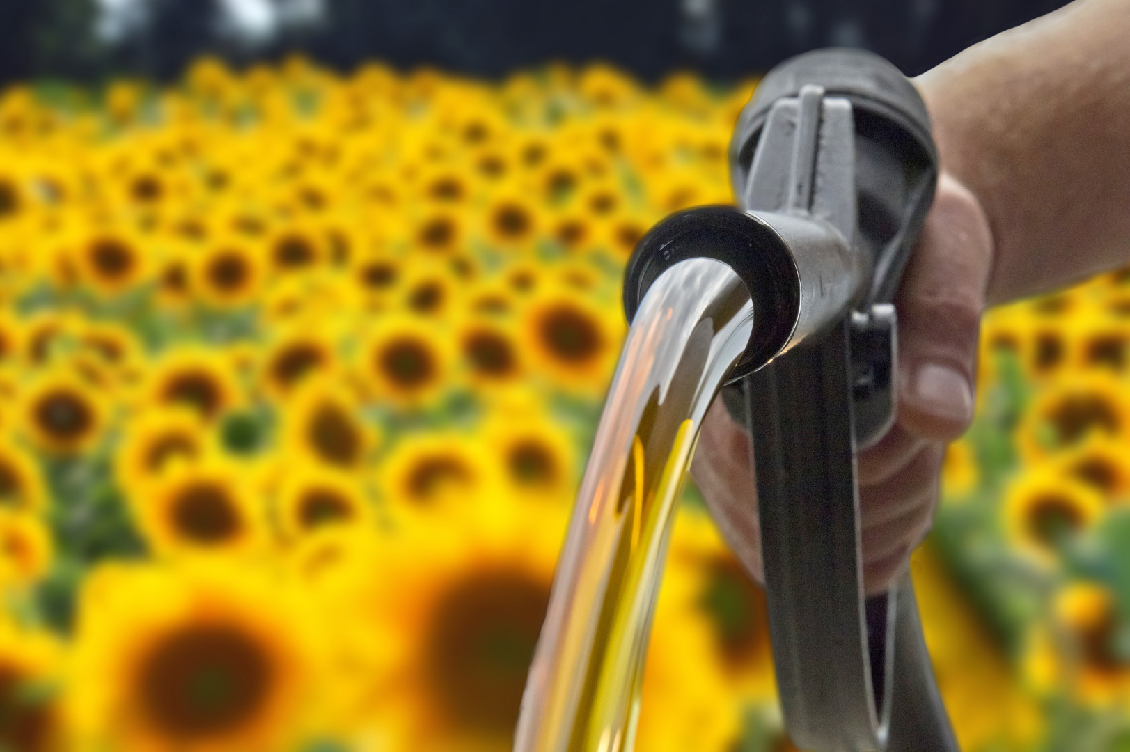 500.000 km rein mit Biodiesel Blick