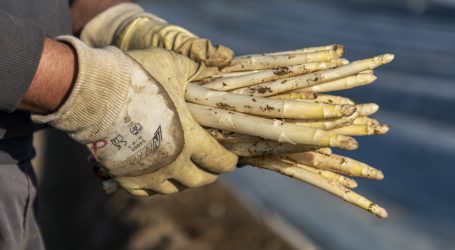 Mehr Service für ausländische Arbeitskräfte von LAK-NÖ