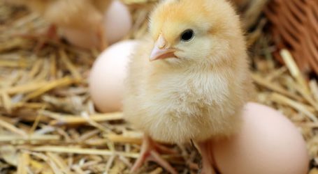 BLICK INS LAND 02/2022 ist erschienen