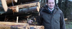 Holz statt Atome spalten