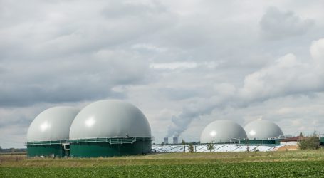 Strasser empfiehlt Biogas als Kraftstoffreserve