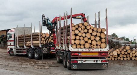 Heimisches Holz statt russischer Energieimporte
