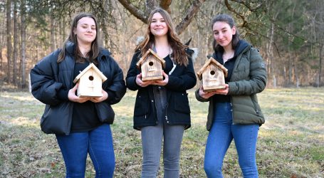 Juniorfirma der LFS Warth kooperiert mit Vogelwelt