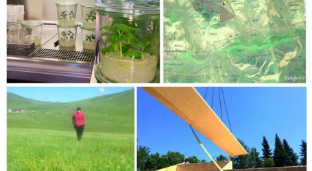 Land & Raum lesen & staunen