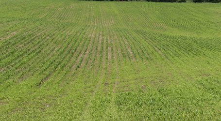 Schlägler Biogespräch über gesunden Boden