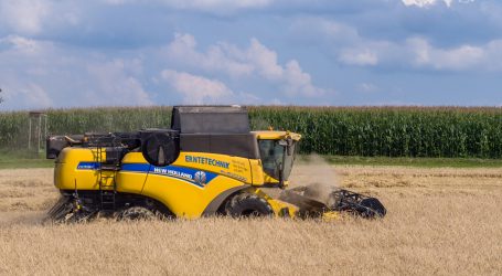 Greenpeace: Ukrainischer Produktionsausfall kompensierbar