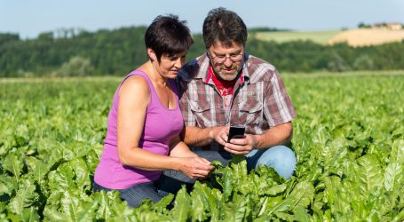 Ab 23. März starten weitere Breitband-Förderungen
