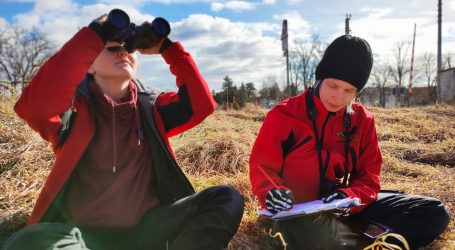 LFS Hollabrunn zählt Vogelvölker