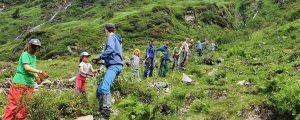 Gemeinsam für Klimaschutz im Bergwald