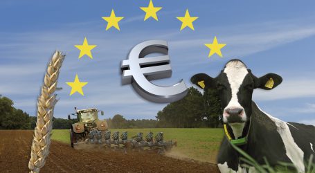 Moosbrugger: EU – Antwort auf Strategieplan bedenklich