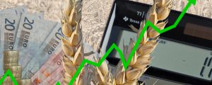 FAO-Lebensmittelpreisindex auf Höchststand