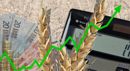 FAO-Lebensmittelpreisindex auf Höchststand