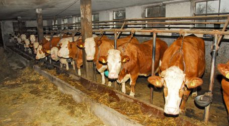 Auslistung für die Kombihaltung?