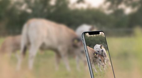 Fotowettbewerb mit Bildern vom Landleben
