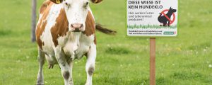 Eine Wiese ist kein Hundeklo
