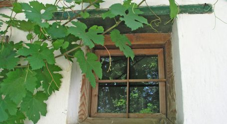 ÖKL-Merkblatt für Kellereigebäude