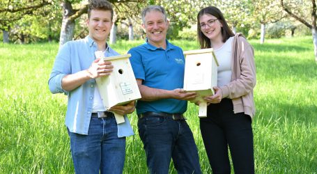 Bauboom für Nistkästen aus LFS Warth