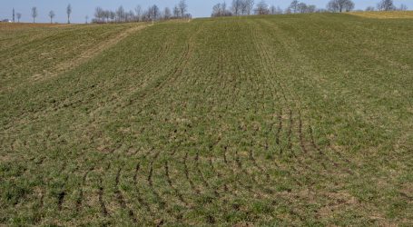 21. Mai Gülletag in Oberndorf NÖ