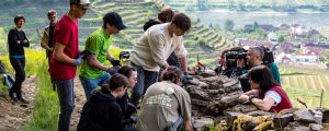 Schüler erleben Trockensteinmauern live