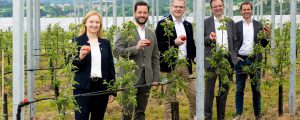 Frutura und RWA erproben Agrar-Photovoltaik