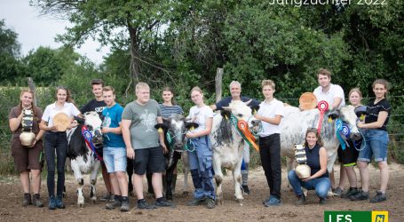LFS Hollabrunn bei Jungzüchter-Championat erfolgreich