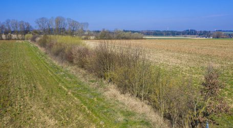 EU-Kommission plant eigene Green-Deal-Studie