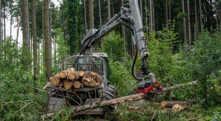 LFBÖ-Warnung anlässlich Woche des Waldes