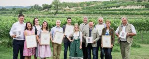 Top-Heurige 2022 in Niederösterreich