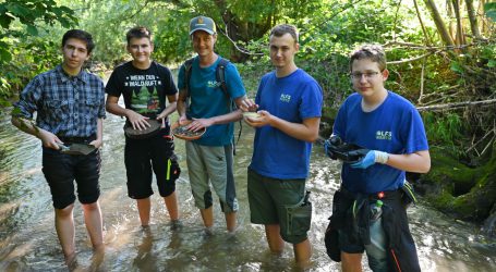 Goldwaschen als Zusatzqualifikation?