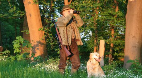 Einfluss des Wildes in Wäldern