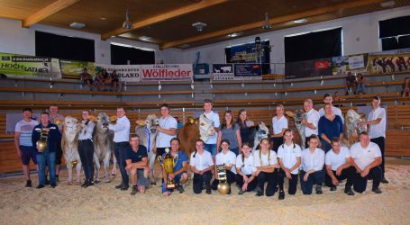 Jungzüchter-Championat mit LFS Pyhra als Champion