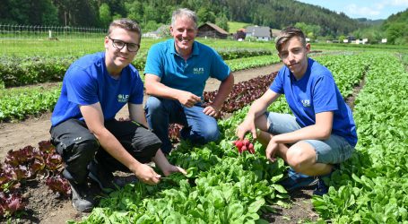 LFS Warth testet Ökogemüsebau für Kleinbetriebe